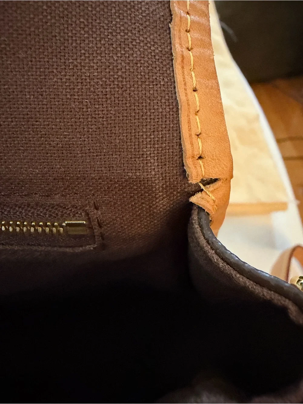 Louis Vuitton authentic louis